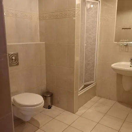Apartment Vida Sarvar